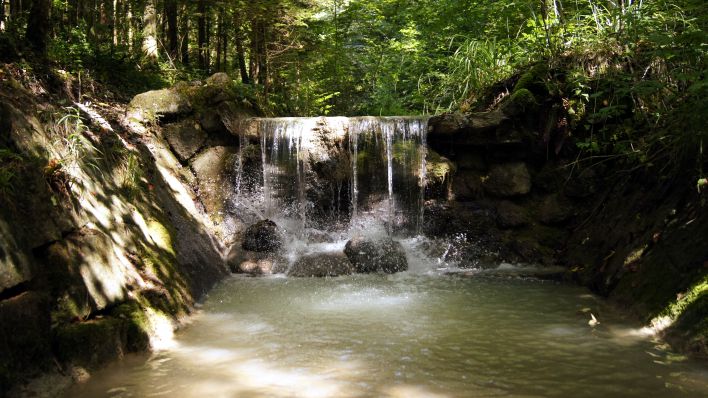 Vitaparcour hinter der Wohngemeinschaft am Weiher