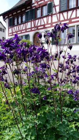 Im Garten vom betreuten Wohnen