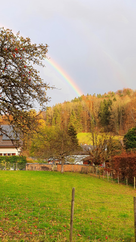 Regenbogen im Bewo