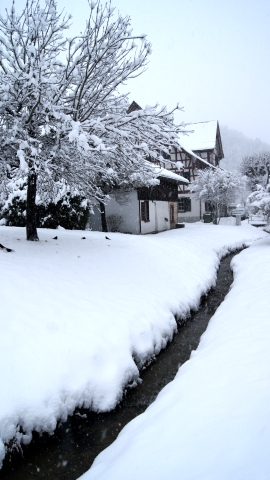Huzikerbach beim Wohnheim