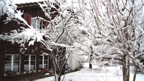 Schnee in Turbenthal