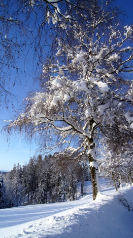 Girenbad im Winter