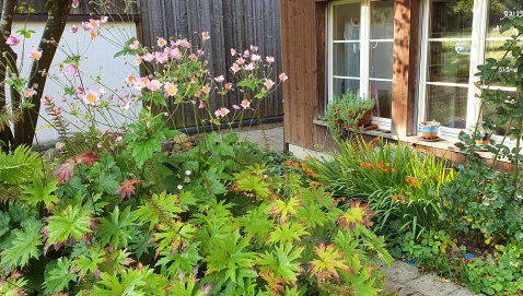 Im Garten vom Wohnheim