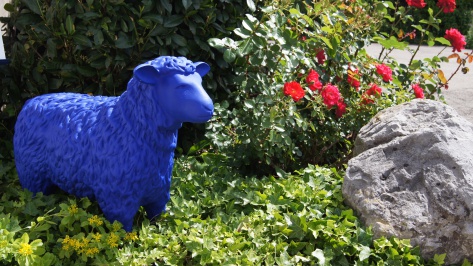 Das Blauschaf, Alle sind gleich jeder ist wichtig ist unsere Philosophie