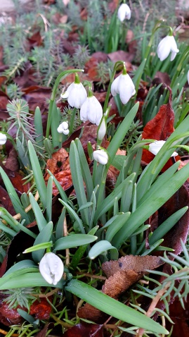 Der Frühling kommt