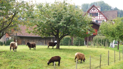 Das betreute Wohnen am Weiher in Turbenthal