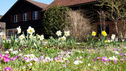 Frühling im betreuten Wohnen