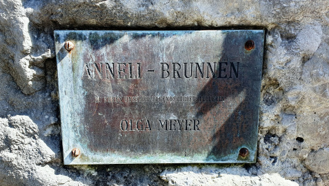 Anneli Brunnen Olga Meyer