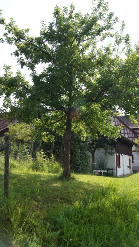 Im Garten der sozialpsychitrischen Einrichtung