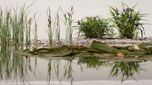 Im Garten des betreuten Wohnen Am Weiher