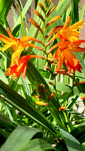 Im Garten vom betreuten Wohnen Am Weiher