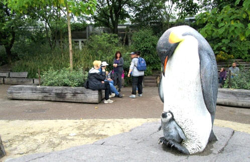 Zoobesuch mit der Beschätigungsgruppe